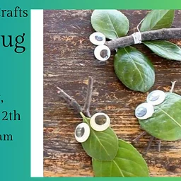 K- 6 Youth Program :Nature Crafts: Don't Bug Me!!!