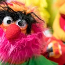 Sesame Street Party