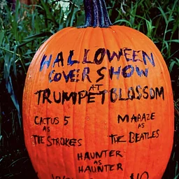 Halloween Cover Show with Cactus 5 as The Strokes / Maaaze as The Beatles / Haunter as Haunter