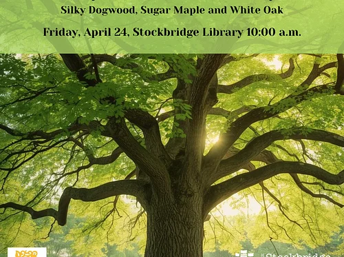 Arbor Day Tree Distribution at the Library with Berkshire Botanical Garden