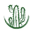 Mexican Cactus Taco Bar