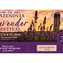 Farmstead 1868 Cazenovia Lavender Festival