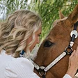 Kensho Stables