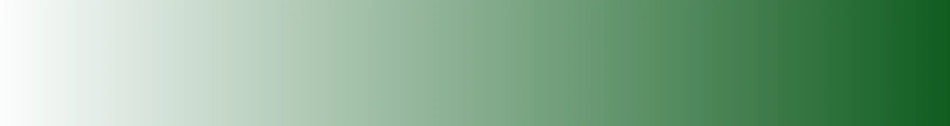 Bolton Valley Resort