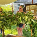 Hop Harvest Festival: Bines & Vines