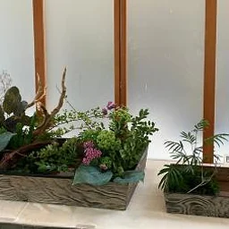 Ikebana Display at the Home and Studio