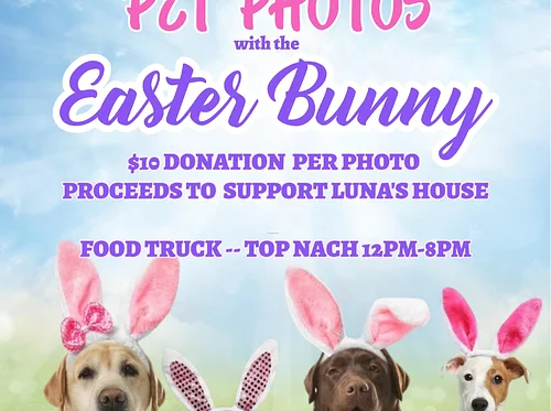 Pet Photos with Easter Bunny