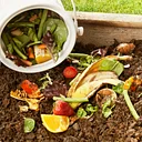 Compost Workshop