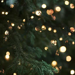 Holiday Magic