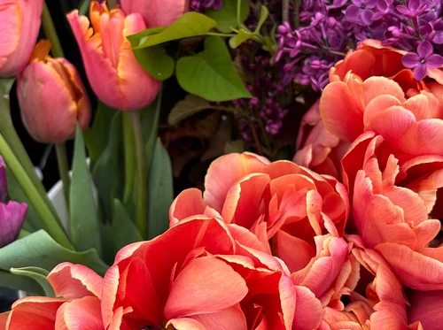 Cutting, Conditioning and Arranging Spring Flowers
