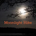 Moonlight Hike