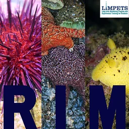 LiMPETS RIM Teacher Workshop