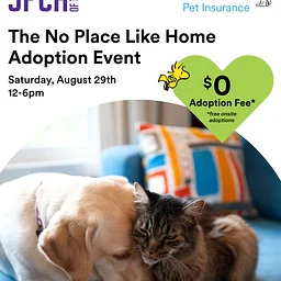 SPCA of Texas x MetLife Pet Insurance There’s No Place Like Home Adoption Event