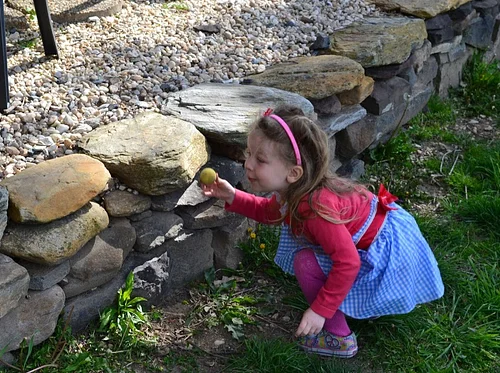 Egg Hunt and Egg Toss