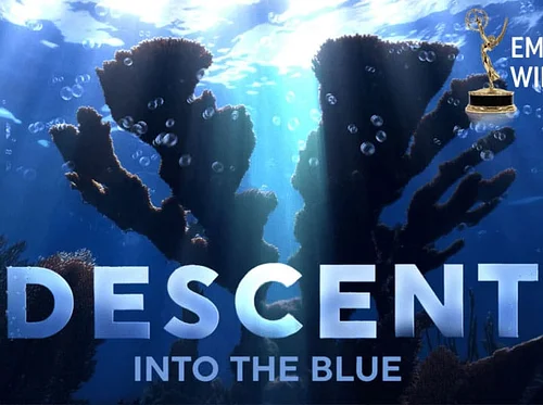 Film & Filmmaker Talk: Emmy Award-Winning “Descent: Into the Blue” with Rory Fielding