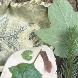 Ceramics and Nature Workshop Series