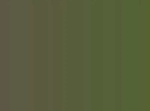 THE CHUCK WOOD GROUP