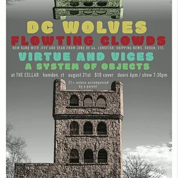 DC Wolves, Flowting Clowds, Virtue and Vices, & A System of Objects