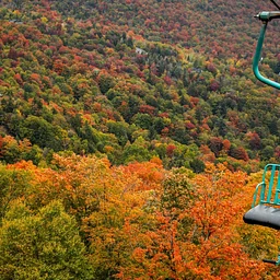 Foliage Weekends 2026