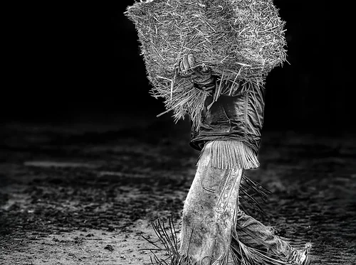 43rd Annual Wallowa Valley Arts Festival Call to Artist