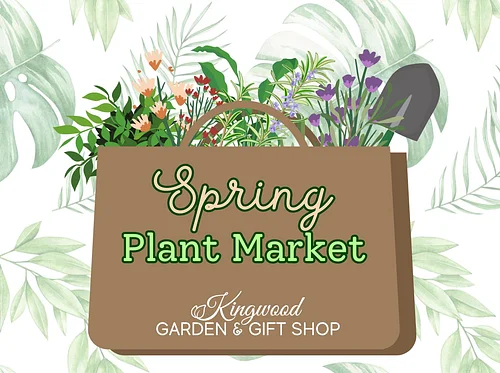 Spring Plant Market