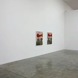 Shane Campbell