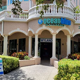 Meet Wyland – at Ocean Blue Galleries St. Petersburg, Florida