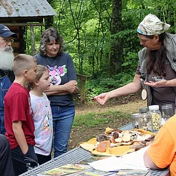Edible Plant Walk