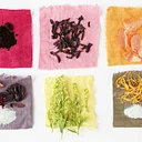 Dyeing with Plants workshop – Divide