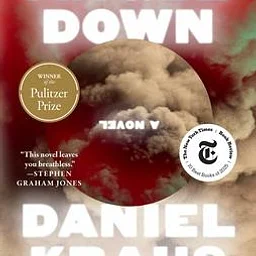 LBB Book Club: Reader Beware! discusses Angel Down