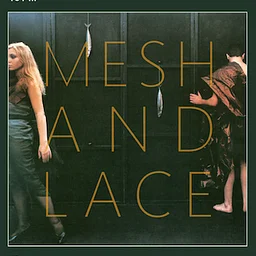 Mesh and Lace