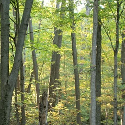 Hike into November: The Boundary Trail