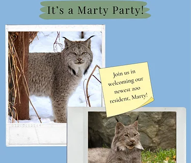 March Member Event: Marty Party with the Lynx!