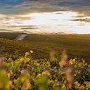 Brick Barn Wine Estate