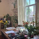 Botanical Watercolor Workshop with Theresa Long: Session Three