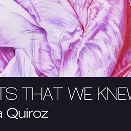 Ghosts that We Knew · Opening Reception