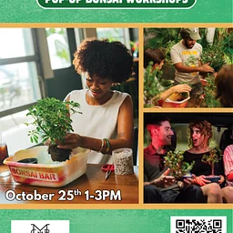 Bonsai Bar Workshop