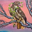 WILD MAGIC | Symbolic Animals with Kara Timmons