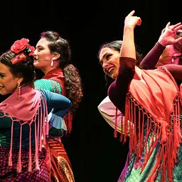 Flamenco y Sol: Flamenco at Its Essence