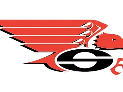 South High Spring Swing