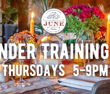 Bartender Training Night