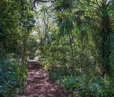 In Community: Meet at the Bridge with Arch Creek Park