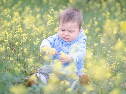 Little Wonders: Learn How our Gardens Grow – SOLD OUT