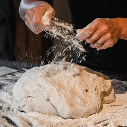 Exploring the Science and Art of Baking with Sourdough + Alternative Grains