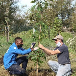 Arbor Day with the Edmonds Stewards