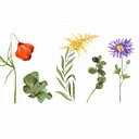 Watercolor Workshop: Fall Florals & Foliage