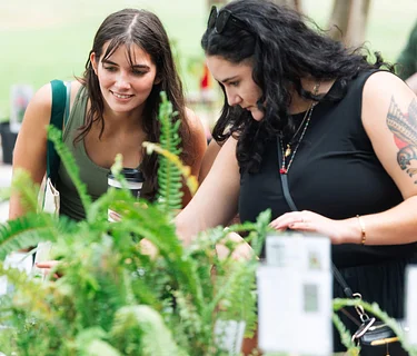 Fall Plant Sale