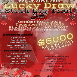 Stock Dog Trial - The Lucky Draw