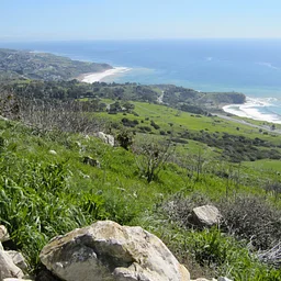 Wildfire Resiliency Through a Conservation Lens Webinar