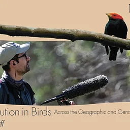 Exploring Bird Evolution Across Geography and Genomes